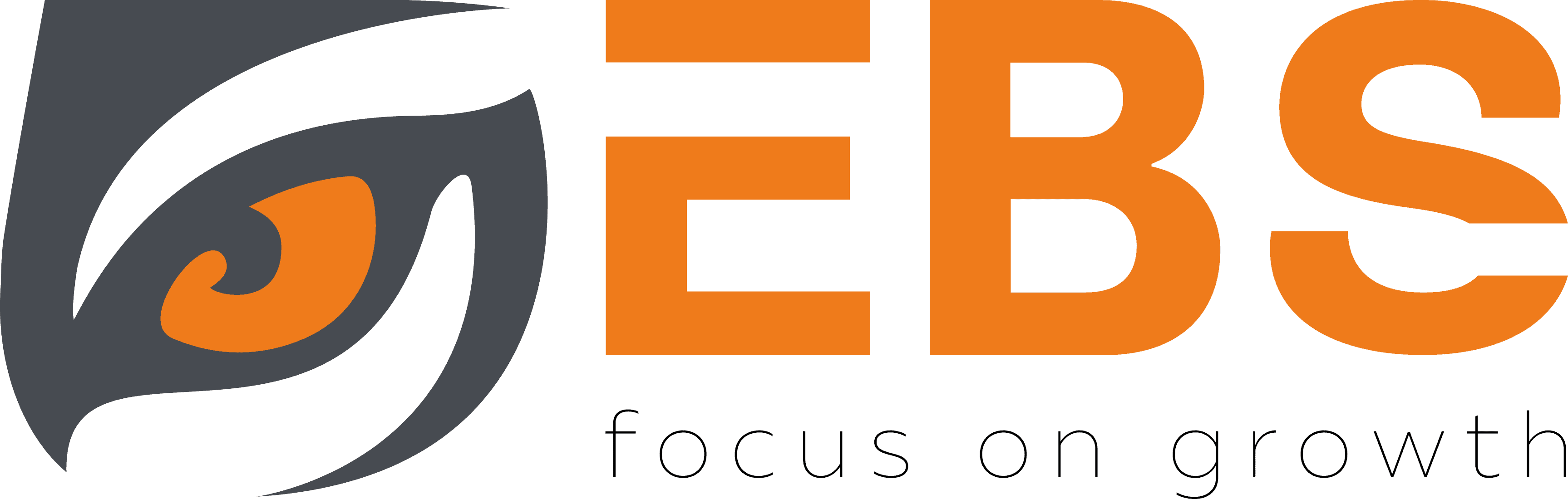 EMERGEX BUSINESS SOLUTIONS-logo